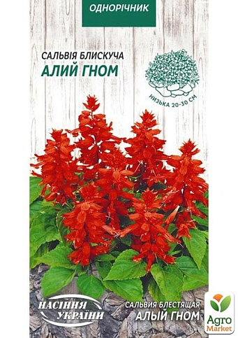 Сальвія блискуча "Алий гном" ТМ "Насіння України" 0.2г