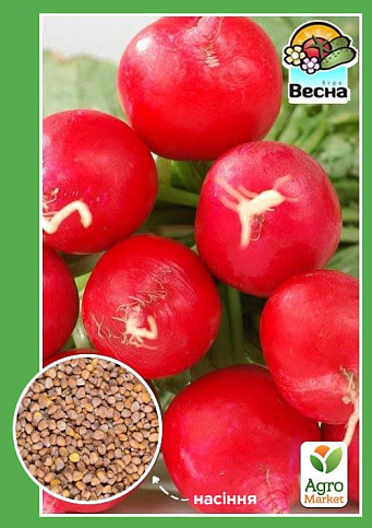 Редис "Рубін" ТМ "Весна" 2г