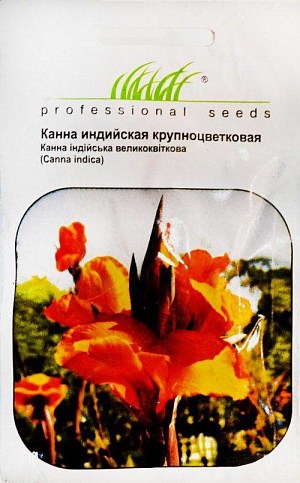 Канна индийская "Крупноцветковая" ТМ "Hem Zaden" 5шт
