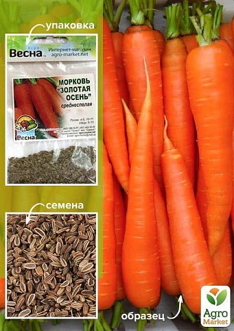 Морква "Золота осінь" (Зипер) ТМ "Весна" 5г