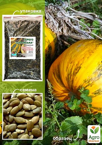 Тыква "Штирийская" ТМ "Весна" 500г