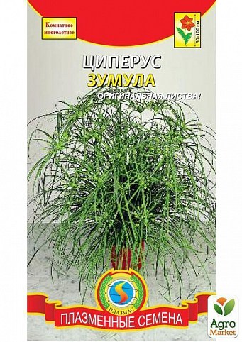 Циперус "Зумула"  ТМ "Плазменные семена" 0,01г