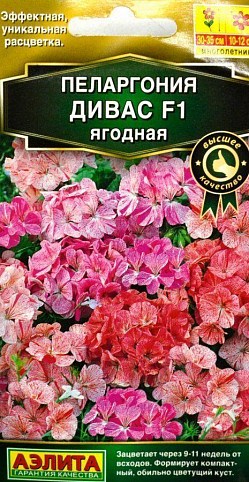Пеларгония "Дивас F1" ягодная ТМ "АЭЛИТА" 3шт