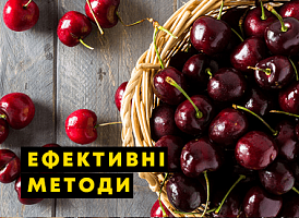 Як позбутися черв’яків з ягід - корисні статті про садівництво від Agro-Market