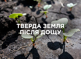 Земля після дощу стала твердою: як покращити структуру ґрунту | Agro-market