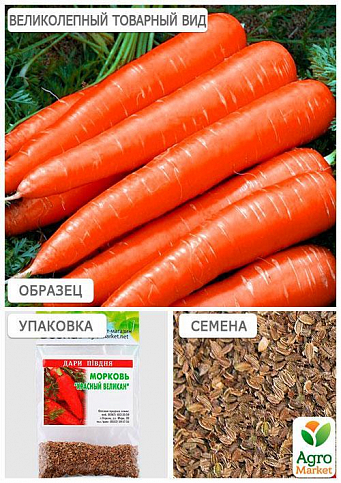 Морковь "Красный великан" (Зипер) ТМ "Весна" 5г - фото 2