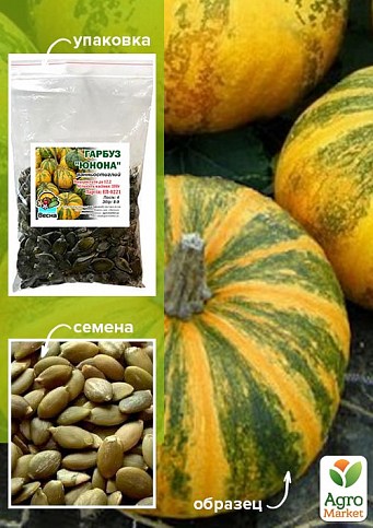 Тыква "Юнона" ТМ "Весна" 100г