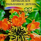 Спатодея "Африканское тюльпанное дерево" ТМ "Гавриш" 0.05г