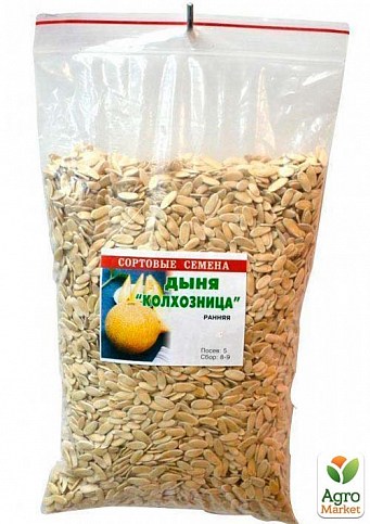 Дыня "Колхозница" ТМ "Весна" 500г - фото 2