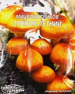 Опенок Летний ТМ "Семена Украины" 10шт2