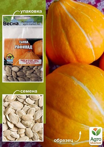 Тыква "Рафинад" (Зипер) ТМ "Весна" 5г