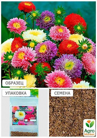 Астра "Принцесса" смесь окрасок (Зипер) ТМ "Весна" 0,5г - фото 4