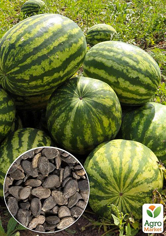 На развес Арбуз "Сияющая гора" ТМ "Весна" цена за 6г