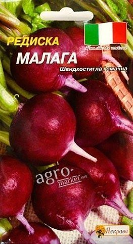 Редис "Малага" ТМ "Яскрава" 3г