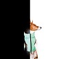 Курточка для собак AiryVest Lumi двухсторонняя, светящаяся в темноте, размер M 45, салатово-оранжевая (2253) цена