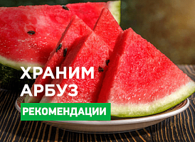 Як зберегти кавун на зиму - корисні статті про садівництво від Agro-Market