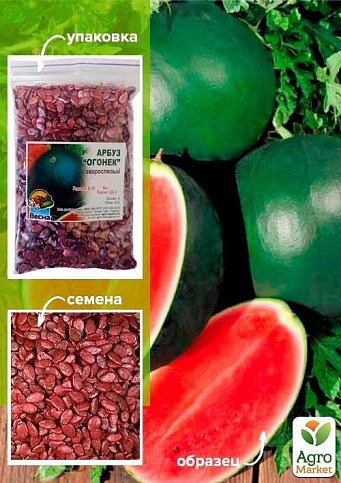 Кавун оброблений "Вогник" ТМ "Весна" 100г