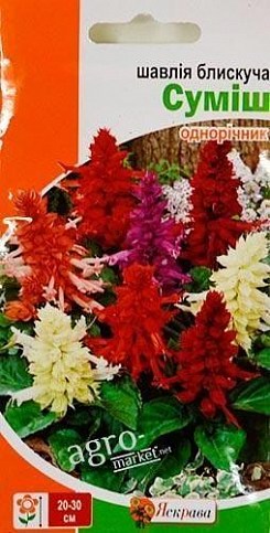 Сальвия блестящая "Смесь" ТМ "Яскрава" 0.2г