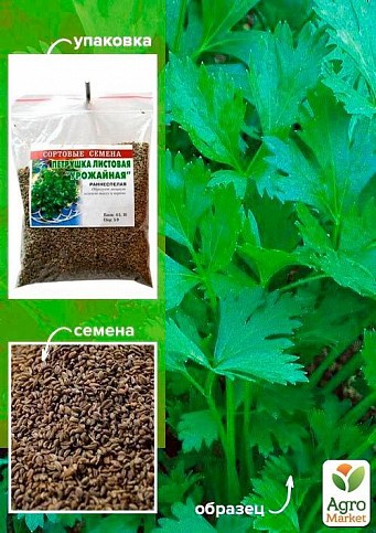 Петрушка "Урожайна" ТМ "Весна" 100г