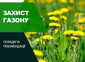 Гербіцид для газону - корисні статті про садівництво від Agro-Market