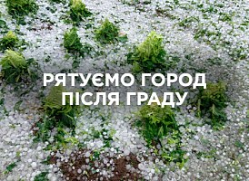 Город після граду: як врятувати урожай та відновити рослини | Agro-market