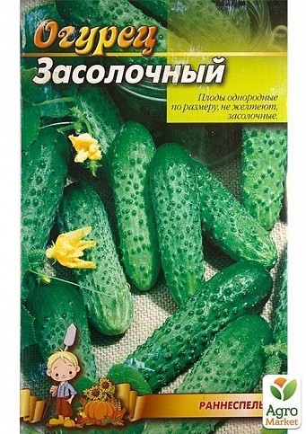 Огурец "Засолочный" (Большой пакет) "Весна" 2г - фото 2