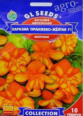 Бегония ампельная "Харизма оранжево-желтая F1" ТМ "GL Seeds" 10шт