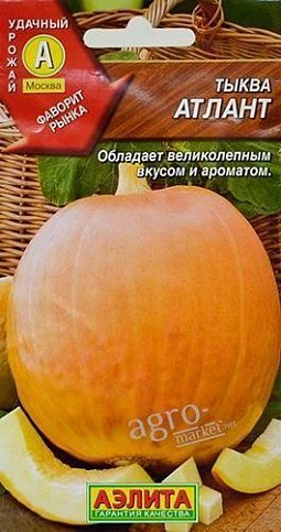 Тыква "Атлант" ТМ "АЭЛИТА" 2г