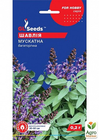 Шавлія "Мускатний" багаторічний ТМ "GL SEEDS" 0.2г