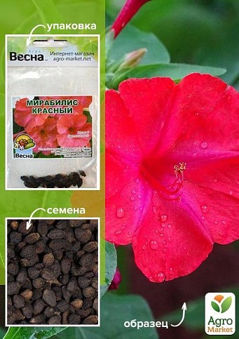 Мирабилис "Красный" (Зипер) ТМ "Весна" 1.5г