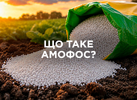 Амофос: склад, властивості та застосування добрива | Agro-market