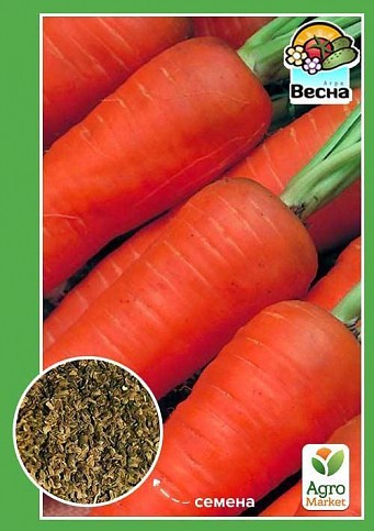 Морковь "Амстердамская" ТМ "Весна" 2г