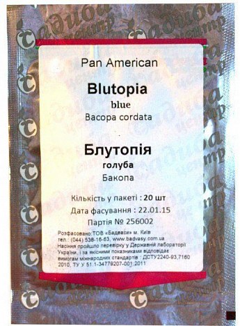Бакопа "Блутопія блакитна" ТМ "Садиба центр" 20шт