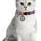 Ошейник для кошек нейлоновый WAUDOG Nylon с QR паспортом, рисунок "Линия 1", пластиковый фастекс, Ш 10 мм, Длинна 20-30 см (5268) цена