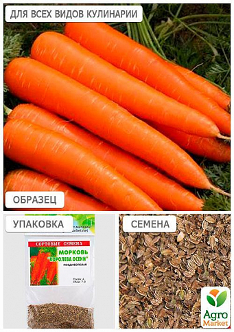 Морковь "Королева осени" (Зипер) ТМ "Весна" 5г