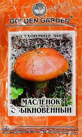 Сухой мицелий "Масленок Обыкновенный" ТМ "Golden Garden" 10г