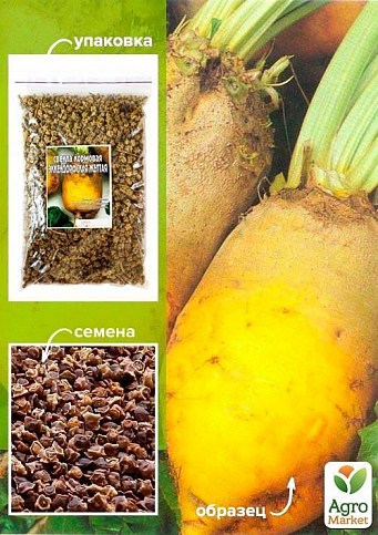 Свекла кормовая "Эккендорфская желтая" ТМ "Весна" 100г