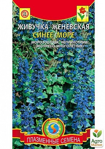 Живучка женевская "Синее море" ТМ "Плазменные семена" 10шт