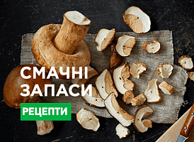Як сушити білі гриби - корисні статті про садівництво від Agro-Market
