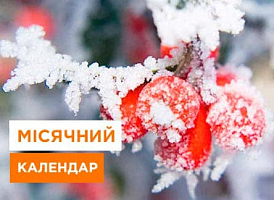 Місячний посівний календар на грудень 2024 року - корисні статті про садівництво від Agro-Market