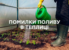 Основні помилки поливу в теплиці та як їх уникнути | Agro-market
