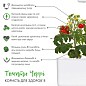 Сменный картридж Click & Grow мини-томаты (3 капсулы) (7304)