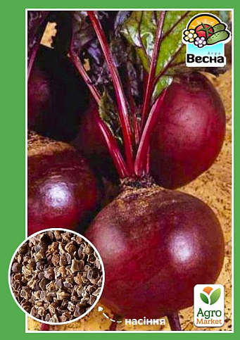 Свекла "Цыганочка" (Новый пакет) ТМ "Весна" 2г