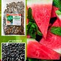 Арбуз "Херсонский" ТМ "Весна" 100г