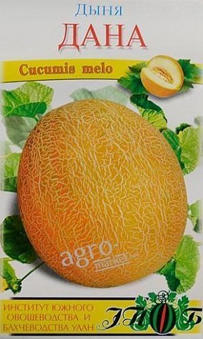 Диня "Дана" ТМ "Сонячний березень" 50шт