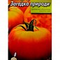 Томат "Загадка природы" ТМ "Весна" 0.1г купить