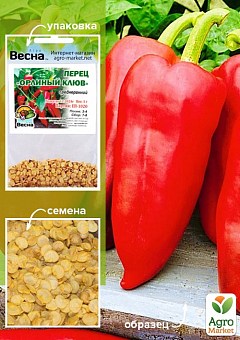 СЕМЕНА ПЕРЦА: купить семена перца почтой в Киеве, Одессе и Украине ...