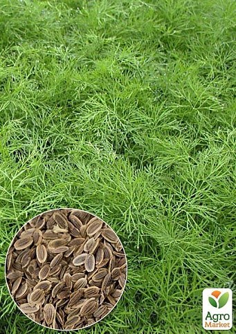 На развес Укроп "Кустовой" ТМ "Весна" цена за 20г