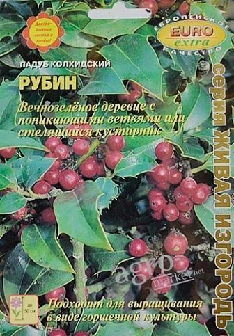 Падуб колхидский "Рубин" ТМ "Аэлита" 0.12г