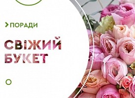 Як продовжити життя трояндам - корисні статті про садівництво від Agro-Market